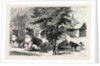The Manipur Massacres: Palace Enclosure at Manipur Where Mr. Quinton and Other Englishmen Were Killed. by Anonymous