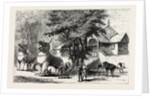 The Manipur Massacres: Palace Enclosure at Manipur Where Mr. Quinton and Other Englishmen Were Killed. by Anonymous