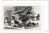 The Manipur Massacres: Palace Enclosure at Manipur Where Mr. Quinton and Other Englishmen Were Killed. by Anonymous