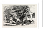The Manipur Massacres: Palace Enclosure at Manipur Where Mr. Quinton and Other Englishmen Were Killed. by Anonymous