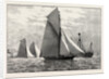 Royal Thames Yacht Club Match: Rounding the Mouse Lightship by Anonymous