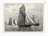 Royal Thames Yacht Club Match: Rounding the Mouse Lightship by Anonymous