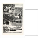 The British South Africa Company's Expedition to Mashonaland by Anonymous