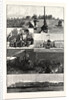The British South Africa Company's Expedition to Mashonaland by Anonymous