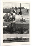 The British South Africa Company's Expedition to Mashonaland by Anonymous