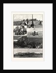 The British South Africa Company's Expedition to Mashonaland by Anonymous