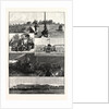 The British South Africa Company's Expedition to Mashonaland by Anonymous