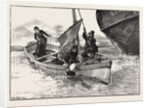 While I Grabbed Him to Help Him Inboard Abraham Was Hoisting the Sail. by Anonymous
