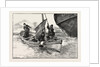 While I Grabbed Him to Help Him Inboard Abraham Was Hoisting the Sail. by Anonymous