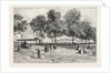 Entrance to the Agricultural Show from the London Road Doncaster by Anonymous