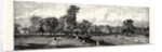 Visit of the Prince of Wales to Rotherham: Clifton Park by Anonymous