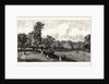 Visit of the Prince of Wales to Rotherham: Clifton Park by Anonymous
