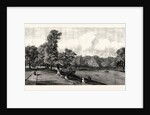Visit of the Prince of Wales to Rotherham: Clifton Park by Anonymous