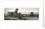 Visit of the Prince of Wales to Rotherham: Clifton Park by Anonymous