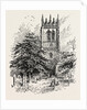Gresford: The Tower by Anonymous