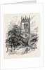 Gresford: The Tower by Anonymous