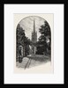 Louth: The Tower and Spire by Anonymous
