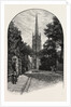 Louth: The Tower and Spire by Anonymous