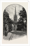 Louth: The Tower and Spire by Anonymous