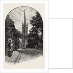 Louth: The Tower and Spire by Anonymous