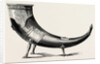 An Ancient Drinking Horn by Anonymous