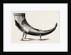 An Ancient Drinking Horn by Anonymous