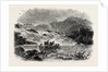 The Lesser Lerfos, Near Trondhjem by Anonymous