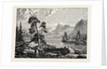 A View on the Hardanger Fjord by Anonymous