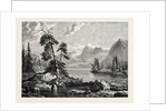 A View on the Hardanger Fjord by Anonymous