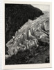 The Buarbae Glacier by Anonymous