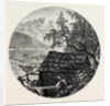 View Near Ulvik by Anonymous