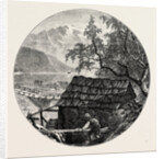 View Near Ulvik by Anonymous