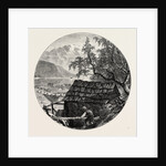 View Near Ulvik by Anonymous