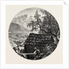 View Near Ulvik by Anonymous