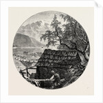 View Near Ulvik by Anonymous