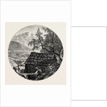 View Near Ulvik by Anonymous