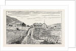 Frydenlund by Anonymous