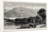 View Near Stavanger by Anonymous