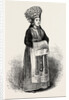 A Norwegian Bride Wearing Her Crown by Anonymous