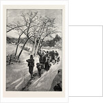 A Norwegian Wedding by Anonymous