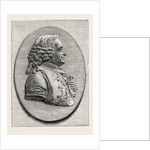 Carl Linnaeus by Anonymous