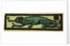 Illustration of English Tales Folk Tales and Ballads. A Chameleon by Anonymous