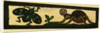 Illustration of English Tales Folk Tales and Ballads. Insects by Anonymous