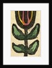 Illustration of English Tales Folk Tales and Ballads. Flower by Anonymous