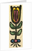 Illustration of English Tales Folk Tales and Ballads. Flower by Anonymous