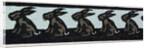 Illustration of English Tales Folk Tales and Ballads. The Seven Hares. Ornament by Anonymous