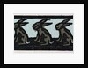 Illustration of English Tales Folk Tales and Ballads. The Seven Hares. Ornament by Anonymous