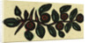 Illustration of English Tales Folk Tales and Ballads. by Anonymous