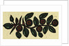 Illustration of English Tales Folk Tales and Ballads. by Anonymous