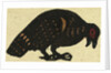 Illustration of English Tales Folk Tales and Ballads. Pheasant by Anonymous